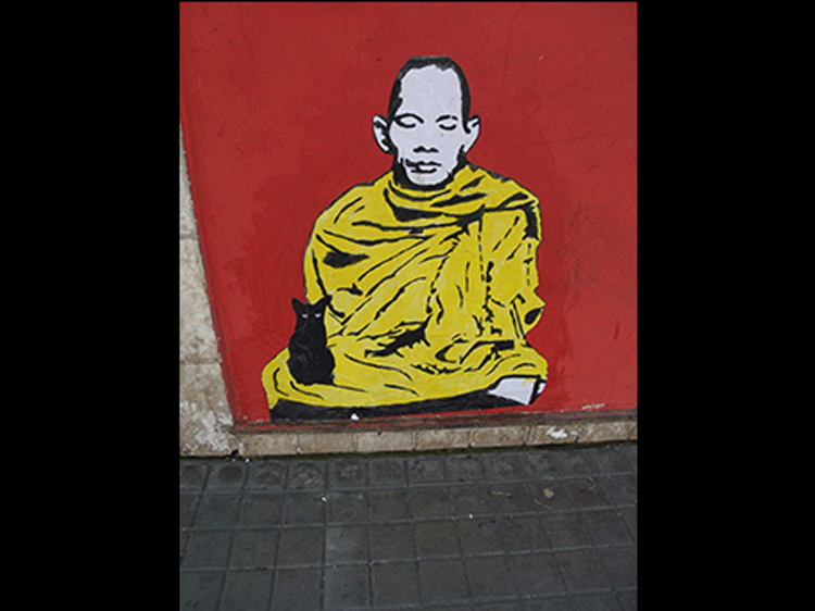 A imagem deste sereno monge é destaque da parede situada na esquina das ruas Portugal e Eugênio Müller (Foto: Lúcio Cesar Pereira)