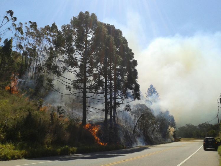 As chamas estavam bem perto da estrada (Foto: Alerrandre Barros)