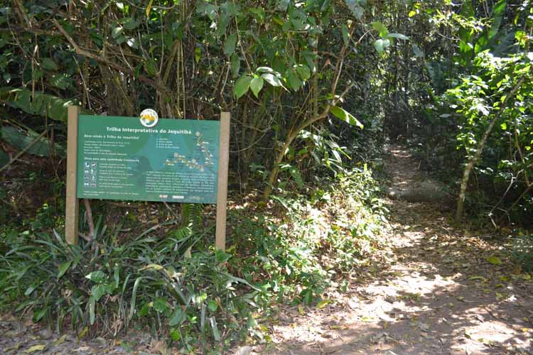 A entrada da Trilha do Jequitibá