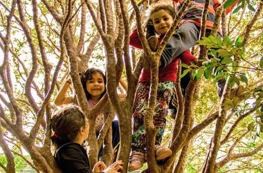 O contato com a natureza é um dos preceitos da pedagogia Waldorf (Fotos: Divulgação)