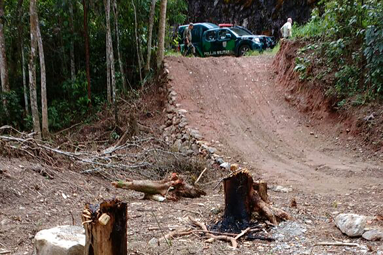 Várias árvores foram cortadas em área de preservação da Mata Atlântica (Foto: 5ª UPam/Três Picos)