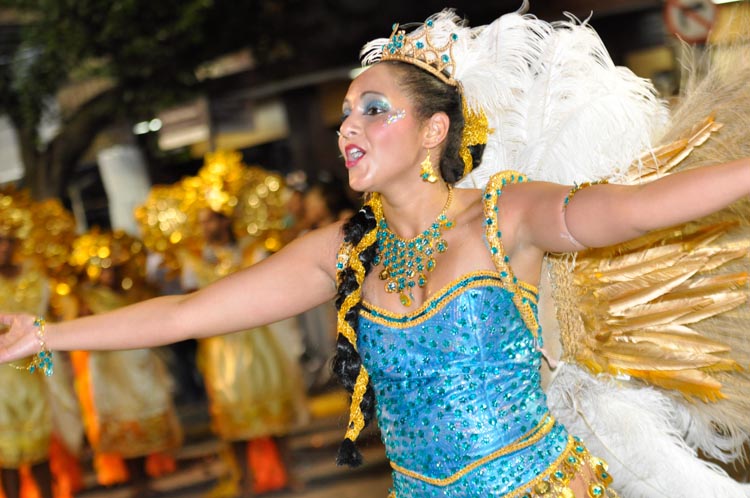 Desfile da Alunos do Samba, carnaval de 2012 (Foto: Carlos Mafort)