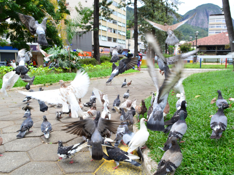 (Foto: Lúcio Cesar Pereira)