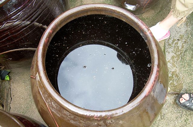 Água parada, onde o Aedes aegypti se reproduz (Foto: Pixabay)