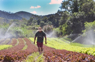 Em Friburgo, mais da metade da merenda escolar vem da agricultura familiar