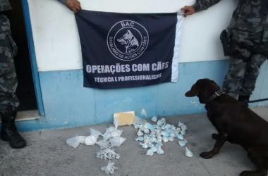 Cães encontraram a droga enterrada em área militar (Foto: 11º BPM)