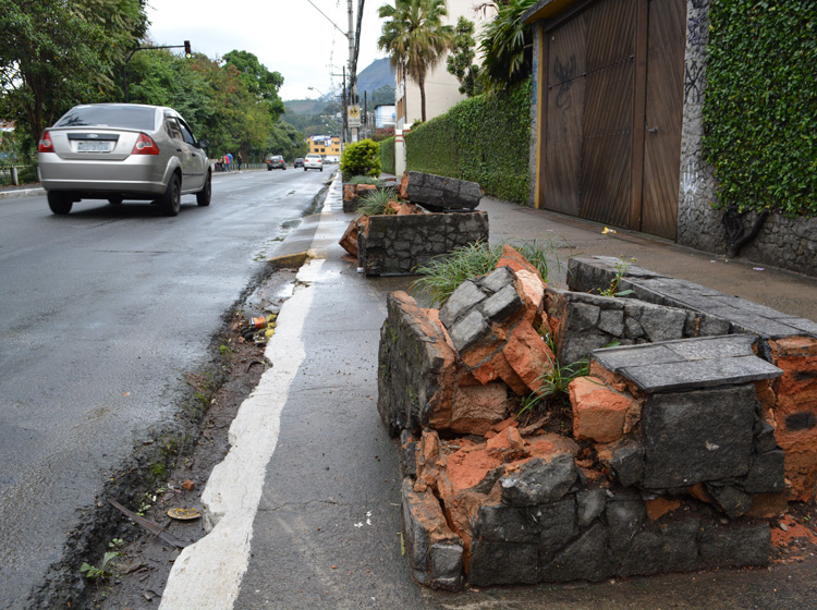 As jardineiras foram destruídas durante o acidente (Foto: Lúcio César Pereira)