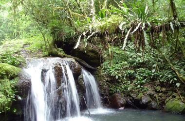 Estado ganha 18 novas Reservas Particulares de Patrimônio Natural