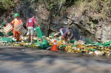 Legumes se espalharam pelo trecho da rodovia (Foto: Leitor via WhatsApp)