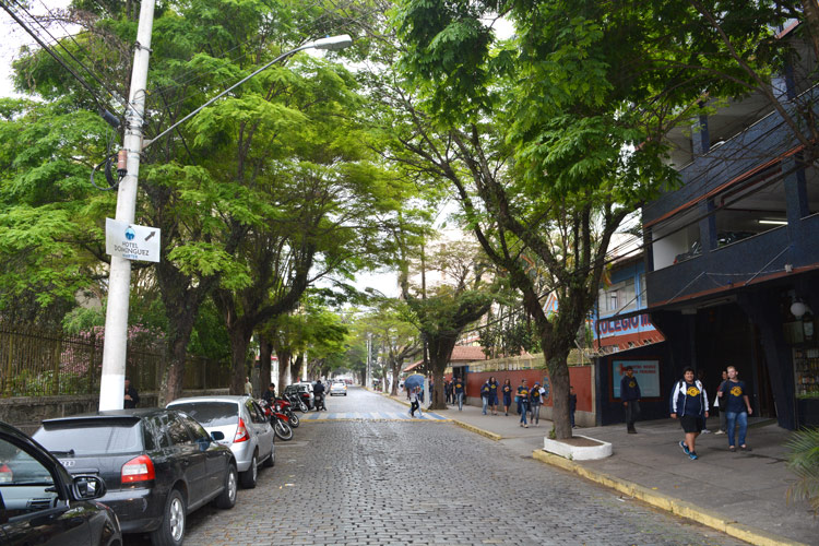 A Rua General Osório é uma das mais arborizadas do centro de Nova Friburgo (Foto: Henrique Pinheiro)