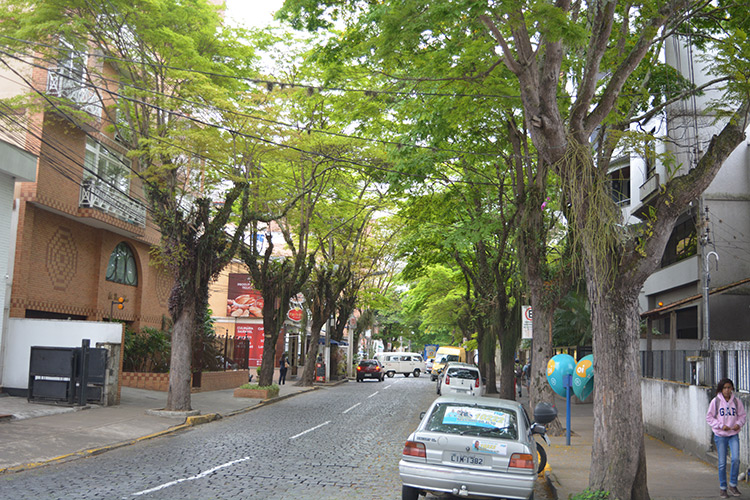 Algumas vias do centro da cidade são bem arborizadas. Que bom seria se fosse assim em todo o município (Foto: Henrique Pinheiro)