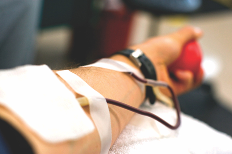 Dia Nacional do Doador de Sangue contará com programação especial