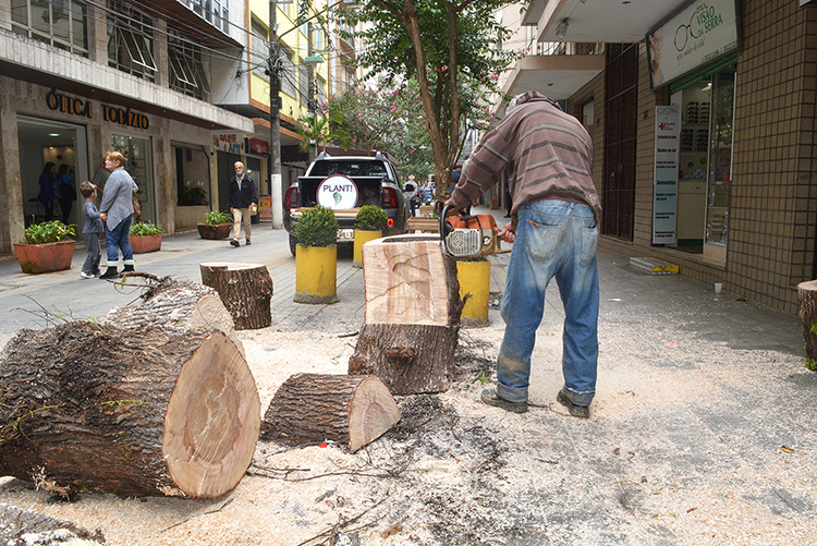 (Foto: Henrique Pinheiro)