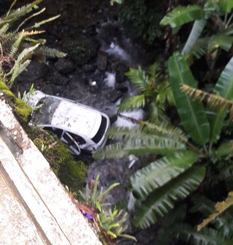 Carro caiu de uma altura de 20 metros na RJ-116 (Foto: Leitor via WhatsApp)