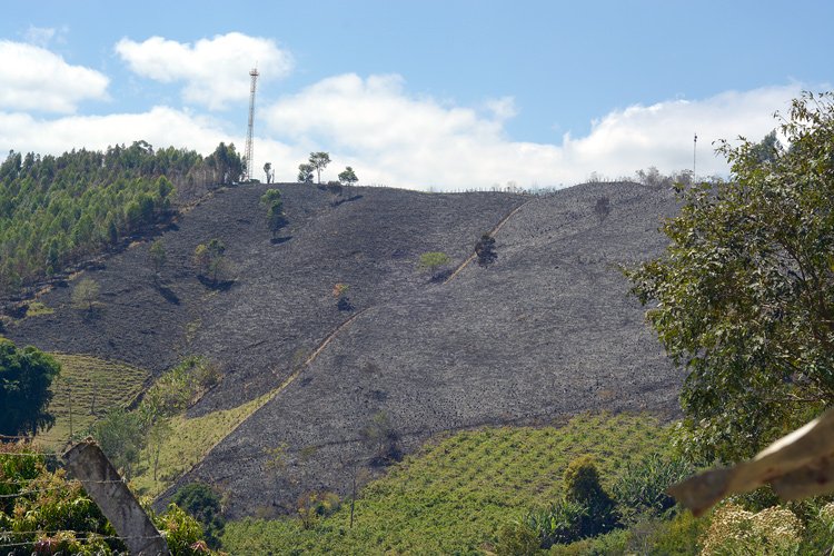 A área queimada de Parada Folly, em Amparo (Foto: Henrique Pinheiro)