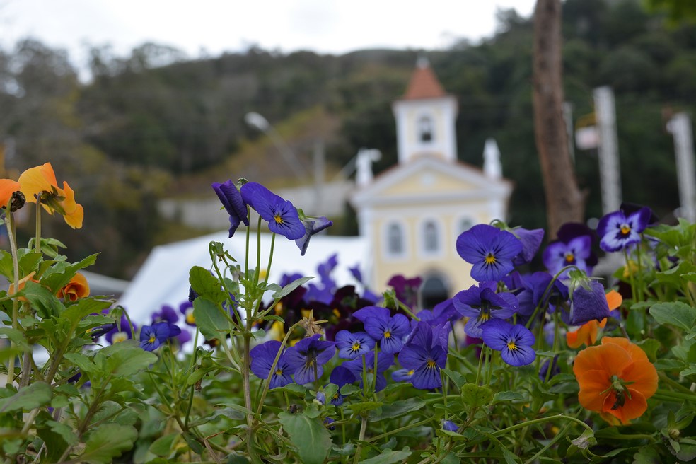 As flores recém-plantadas emoldurando a Igreja de Santo Antônio (Fotos: Henrique Pinheiro)
