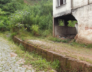 Vila Nova: tranquilidade, praticidade e ... problemas  