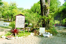 A paz volta ao parque com a Polícia Florestal