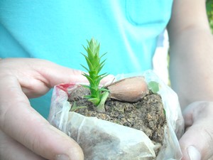 Empresa de moda íntima doa muda de árvore para pai e filha que ajudam na preservação da natureza