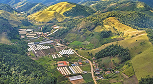 Flores: o símbolo  máximo da primavera