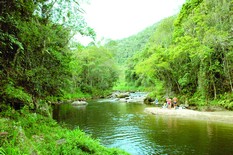 Comemorado hoje, Dia Mundial da Água traz à tona o mau hábito do desperdício no Brasil