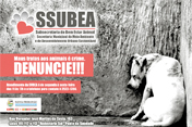 Lançada campanha contra maus-tratos aos animais