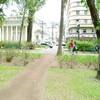 Jardins da Praça Getúlio Vargas estão em condições precárias