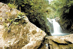 Parque dos Três Picos ganha novos limites