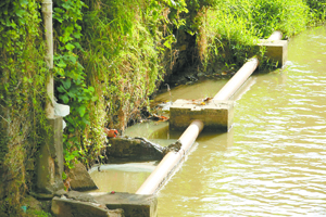 Água parada às margens do rio gera queixas da população