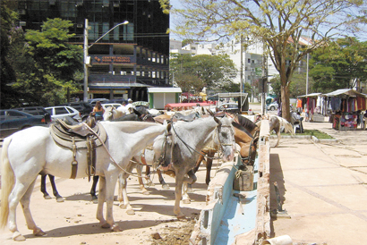 Praça do Suspiro está ainda mais descaracterizada pela sujeira, mau cheiro e irregularidades dos cavalos de “passeio”