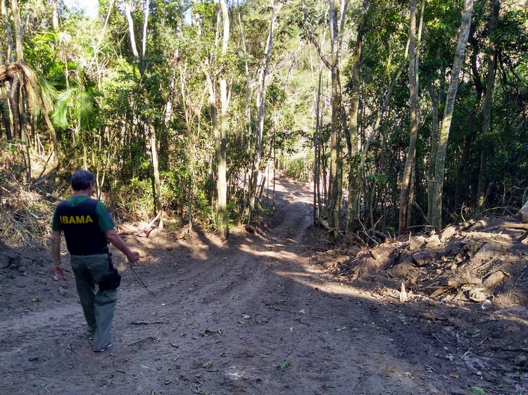 Um agente caminha por área desmatada (Arquivo AVS/ Divulgaççao Ibama)