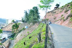 Na Avenida Nossa Senhora do Amparo, o perigo ronda casas, empresas e instituições