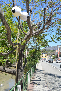 Intervenção artística na Avenida Galdino do  Valle promove conscientização ambiental 