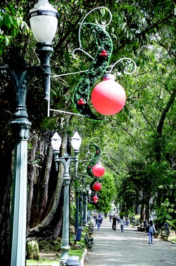 Luzes e decoração natalina envolvem a cidade com magia e desperta o amor entre as pessoas