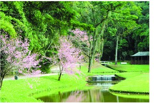 Inverno em Nova Friburgo oferece variedade de opções gastronômicas e de passeios ao ar livre