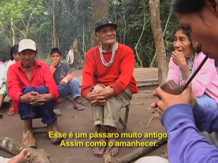 Cineclube Lumiar celebra Dia Nacional  da Mata Atlântica com sessão especial