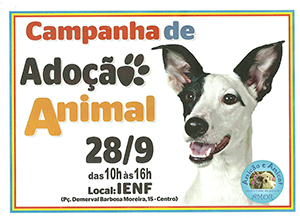 Projeto Amicão e Amicat promove dia 28 campanha de adoção animal no Ienf