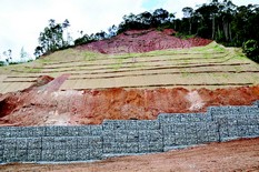 Biomanta antierosiva já domina a paisagem na Rua Cristina Ziede