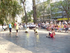 Secretaria de Cultura comemora Dia da Árvore e chegada da primavera