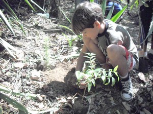 Projeto Elas Preservando e alunos da escola municipal  do bairro Bela Vista plantam árvores da Mata Atlântica