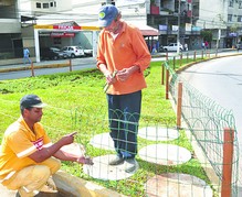 Jardins e praças da cidade recebem tratamento paisagístico