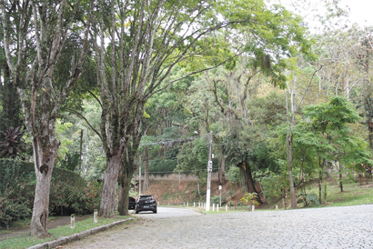 As ruas de Nova Friburgo bem  que poderiam ter mais árvores...