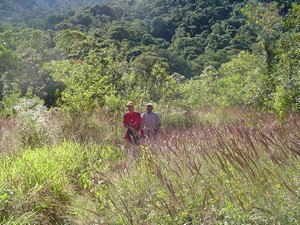 Niteroienses aprovam caminhada entre Nova Friburgo-Cachoeiras de Macacu