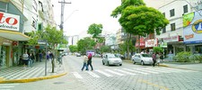 Frio marca primeiro mês da primavera em Nova Friburgo