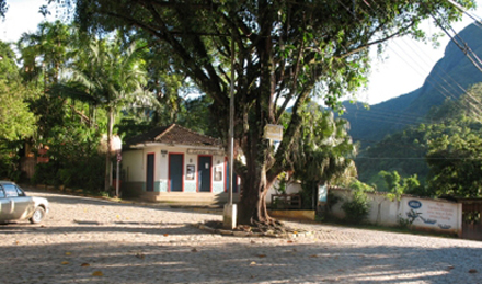 Recebendo apoio para a árvore-símbolo