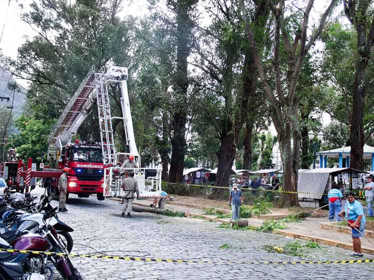 Novas podas de eucaliptos foram registradas por A Voz da Serra na Praça Getúlio Vargas esta sexta-feira, 24 (Amanda Tinoco/A Voz da Serra)