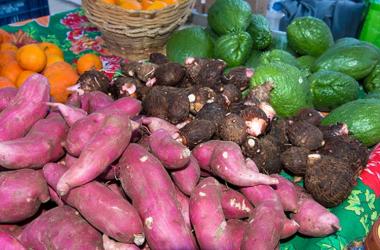Agricultura familiar: escolas estaduais fazem chamada para fornecimento de alimentos