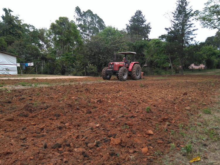 Meio ambiente: Friburgo adere à agricultura sintrópica