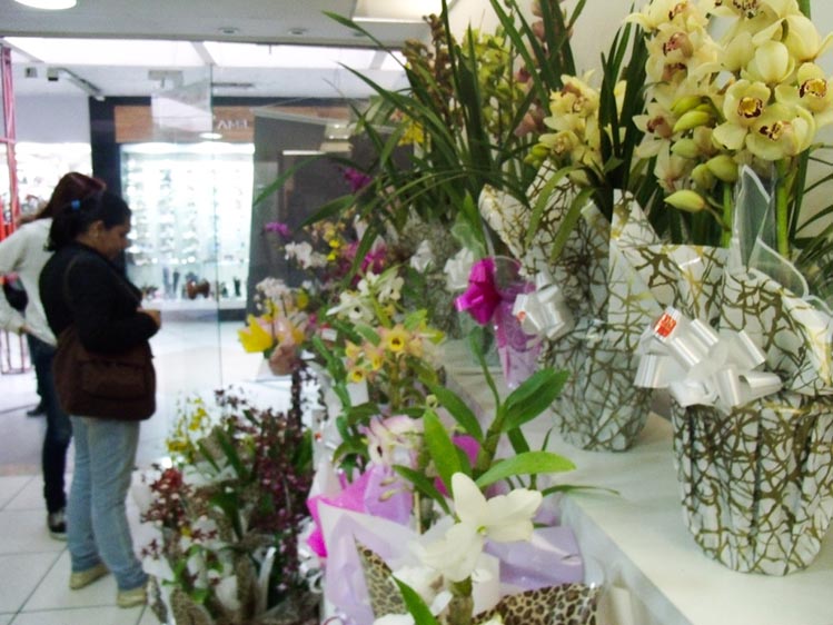 As rosas e orquídeas estão entre as espécies mais procuradas para a data (Amanda Tinoco/A Voz da Serra)