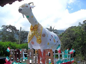 Carnaval de tirar o chapéu ainda repercute positivamente